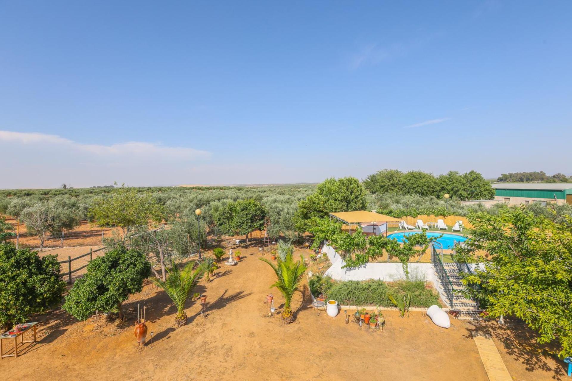 Casa Rural Los Miradores Марчена Екстер'єр фото
