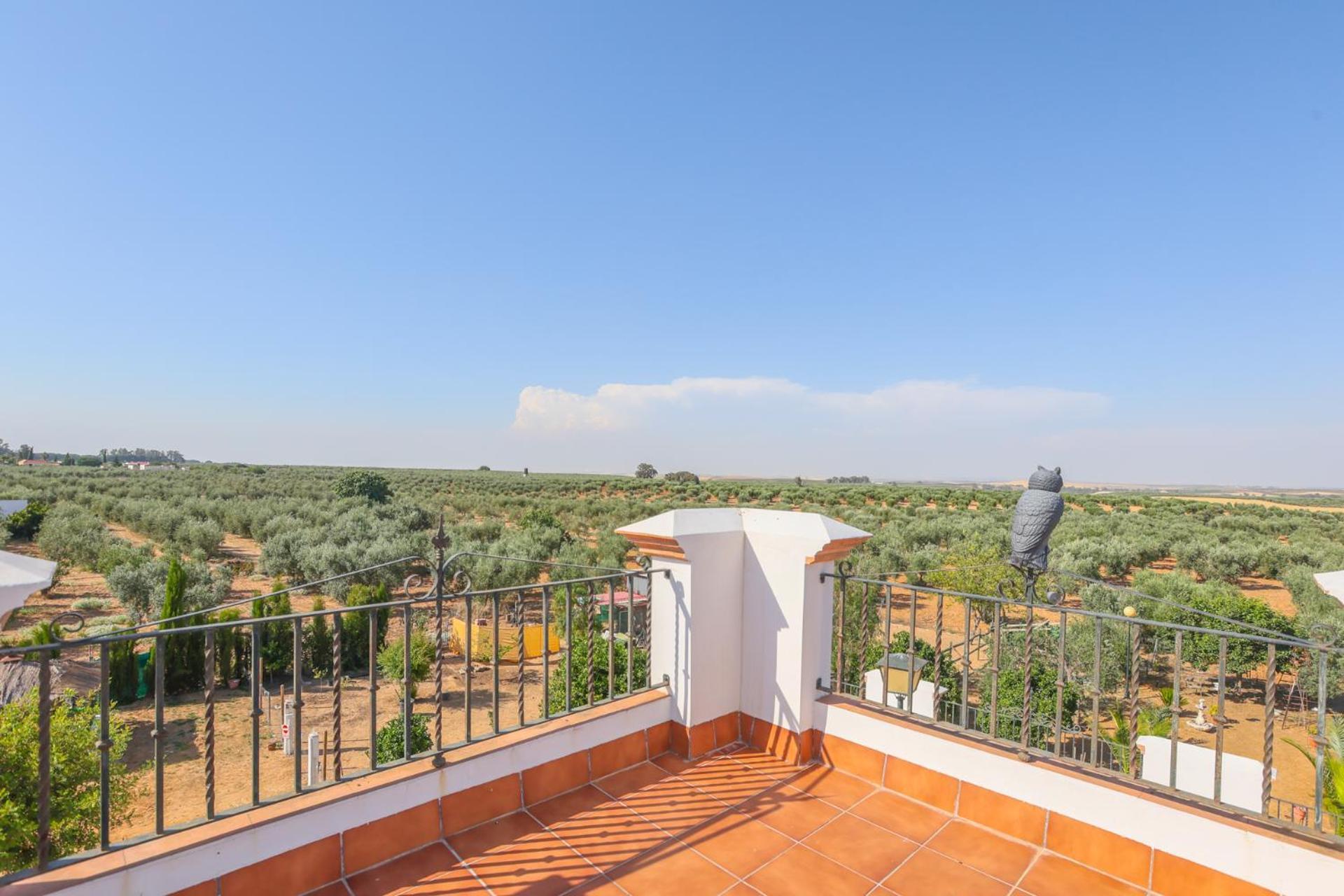 Casa Rural Los Miradores Марчена Екстер'єр фото